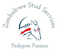 Zimbabwe Stud Service Logo